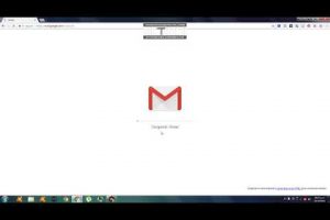 ¿Cómo ver el perfil de un usuario de Gmail?