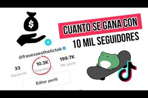 ¿Cuánto te pagan en TikTok Argentina?