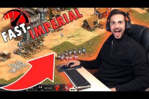¿Cómo llegar a la edad imperial en Age of Empires 2?
