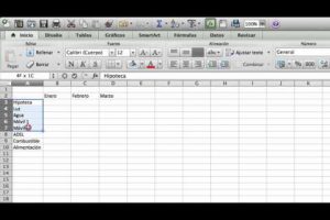 Guía práctica: Cómo usar Excel en Mac