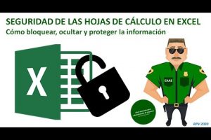 Guía de protección de hojas: Cómo mantener tus hojas seguras