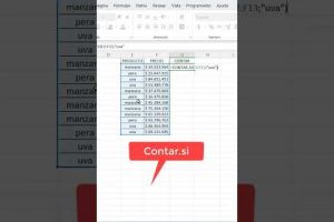 Función COUNTIF: Cómo utilizarla y sus ventajas